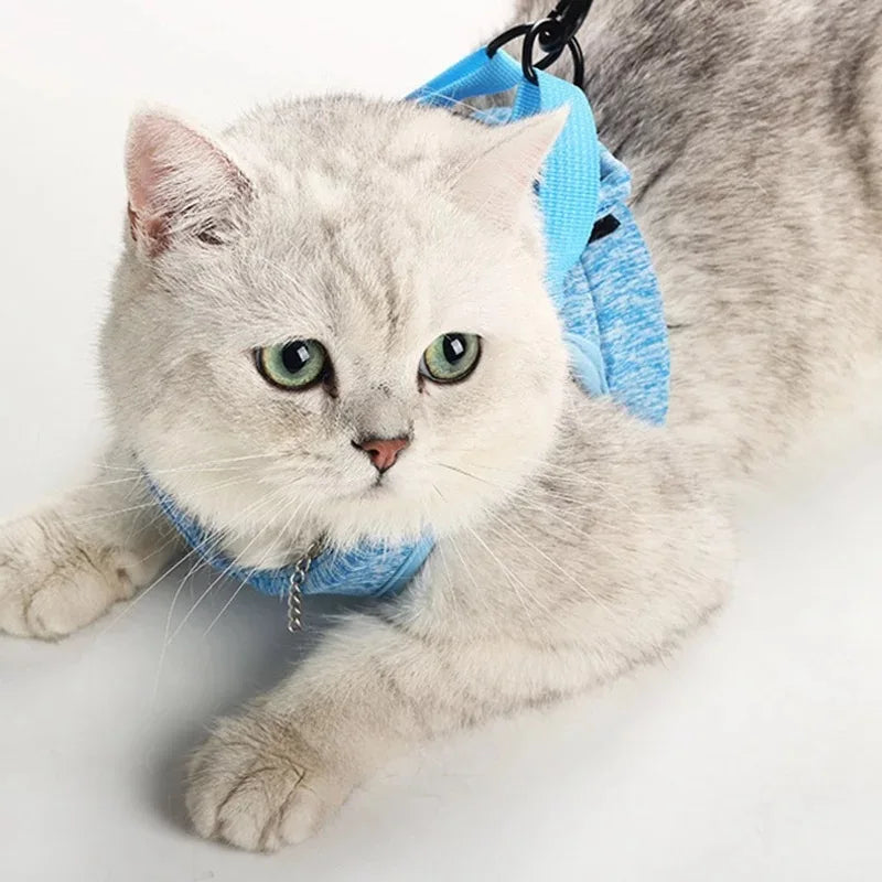 Anti-Escape Kitten Harness & Leash Set