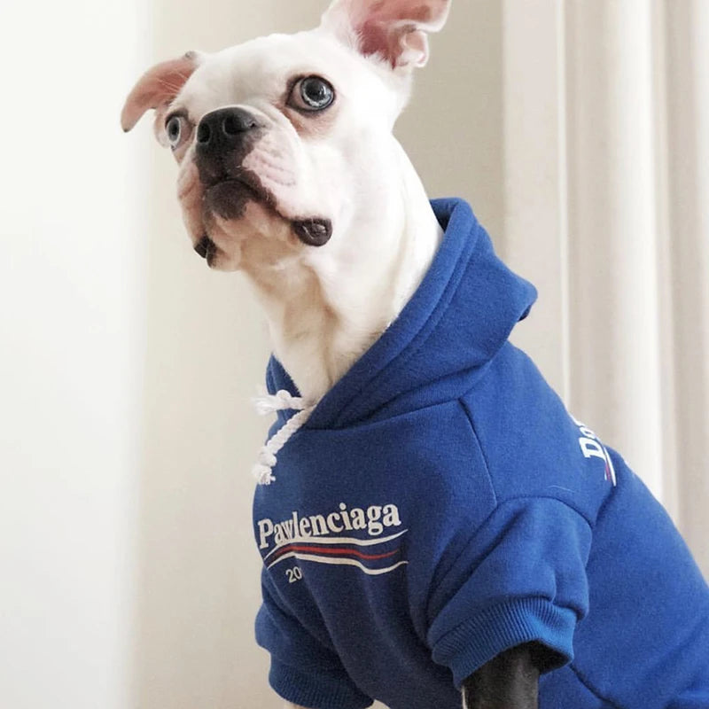 Plush Cotton Hoodie Jacket for Dogs & Cats