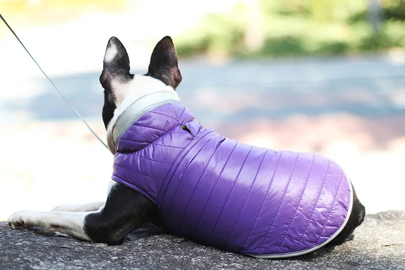 Reversible Waterproof Winter Down Jacket for Small & Medium Dogs