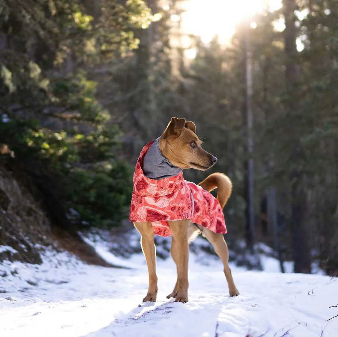 Waterproof Winter Dog Jacket – Warm Outfit for Small, Medium & Large Dogs