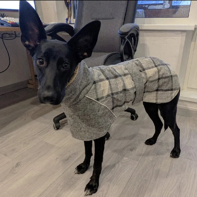 Plaid Fleece Winter Jacket for Medium & Large Dogs