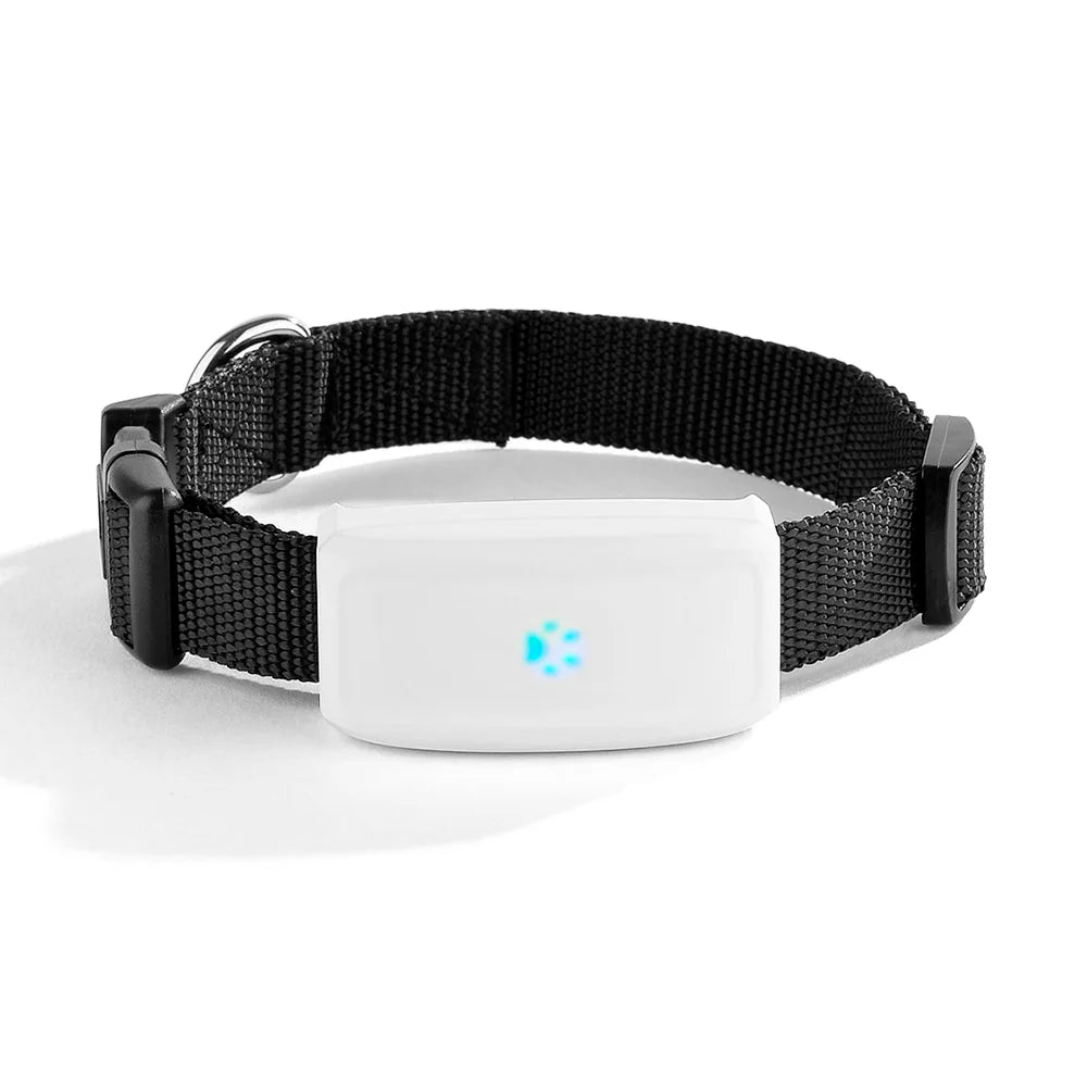 Compact Pet GPS Tracker