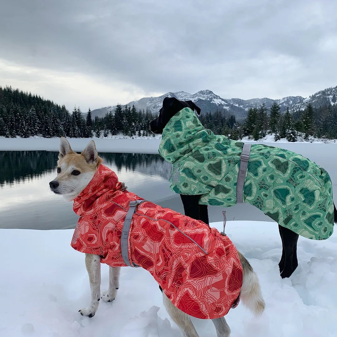 Waterproof Winter Dog Jacket – Warm Outfit for Small, Medium & Large Dogs