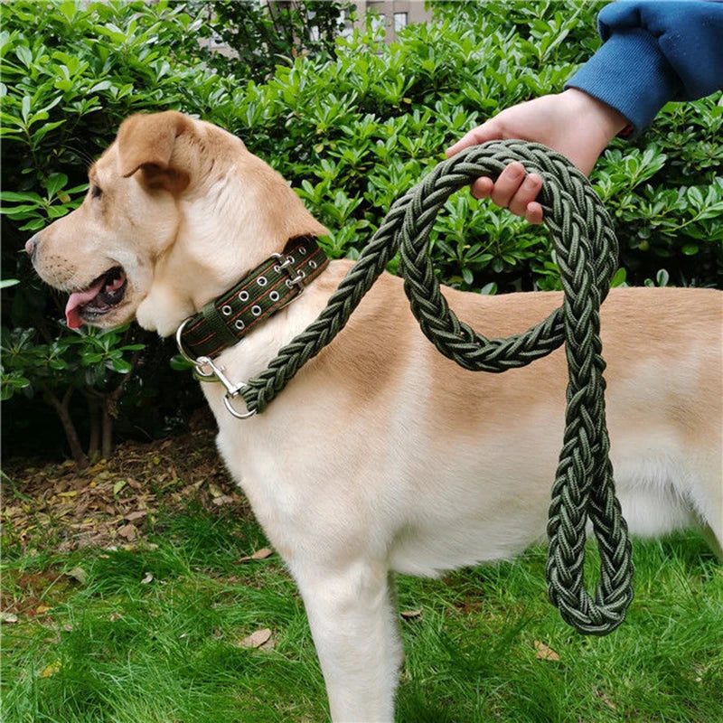 Heavy-Duty Nylon Dog Lead
