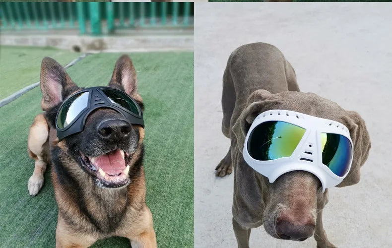 UV Protection Windproof Dog Goggles & Sunglasses