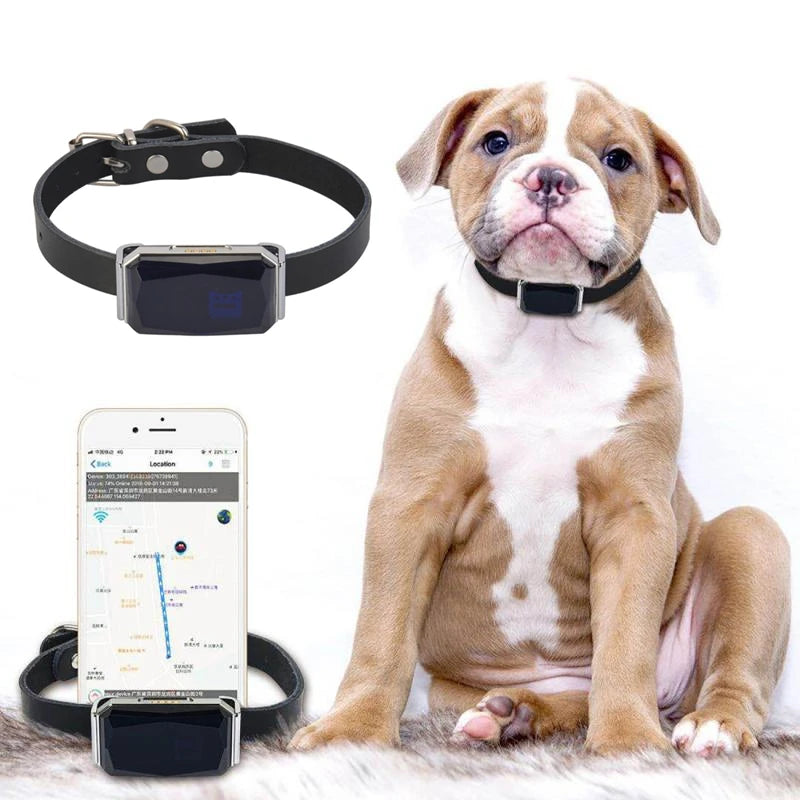 IP67 Multi-Mode GPS Tracker for Pets & Kids — Geofence, SOS & Two-Way Call