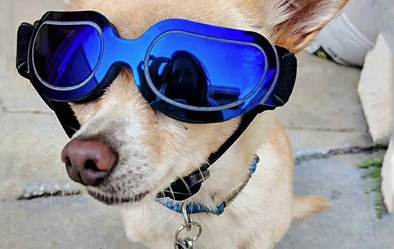 Adjustable Dog Sunglasses & Goggles