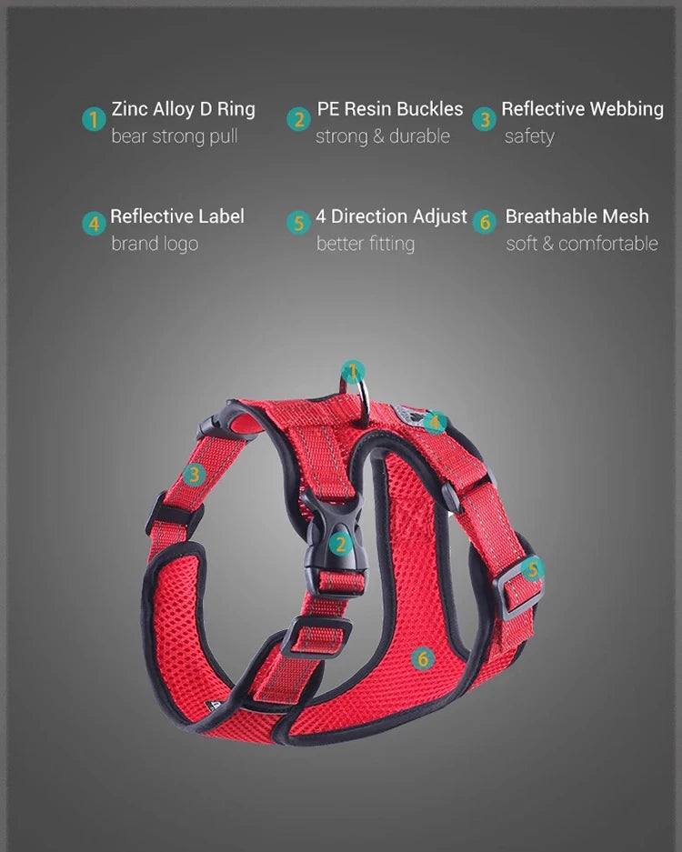Breathable Mesh Vest Harness for Dogs & Cats