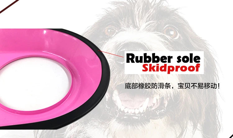 Stainless Steel Double Bowl Feeding Station for Dogs & Cats