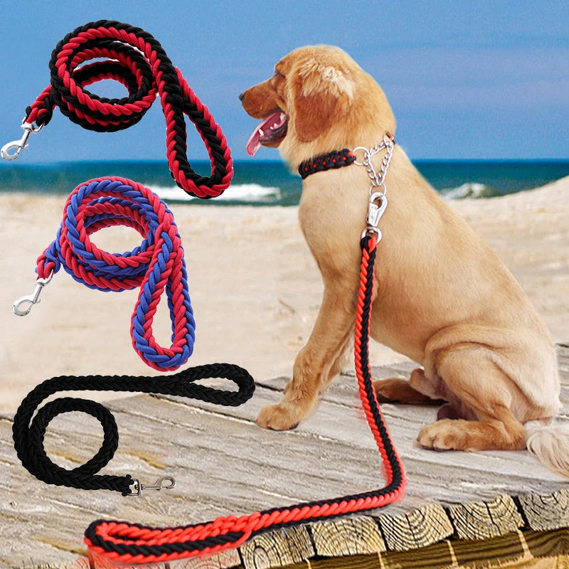 Heavy-Duty Nylon Dog Lead