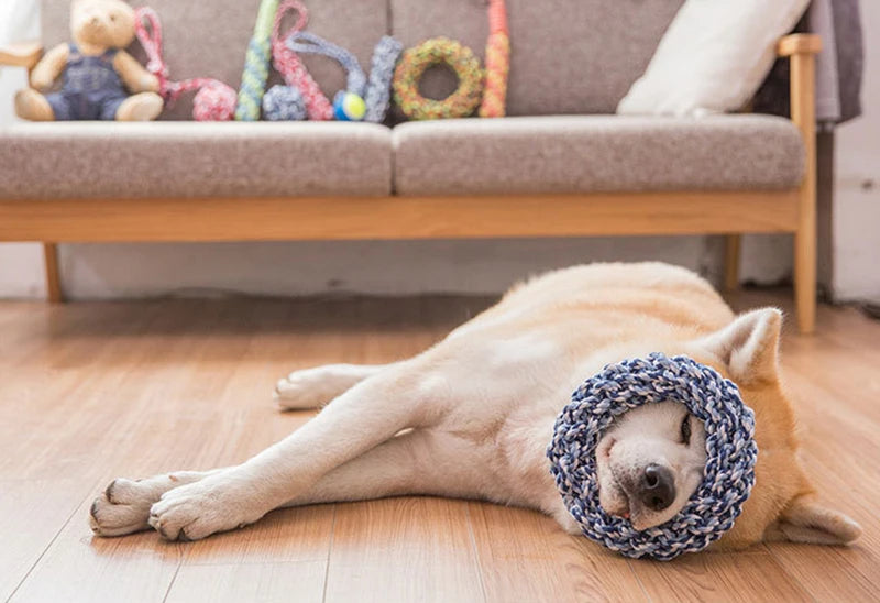 Round Rope Chew Toy for Medium & Large Dogs
