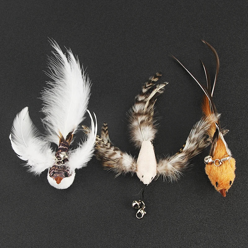 Feather Bird Cat Teaser Toy Set (2 Pack)