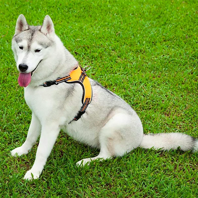 Adjustable Reflective Dog Harness Vest