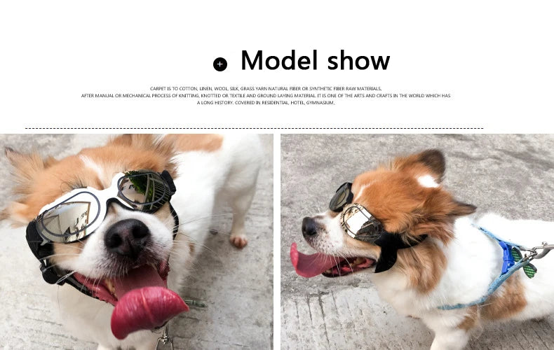 Adjustable Dog Sunglasses & Goggles
