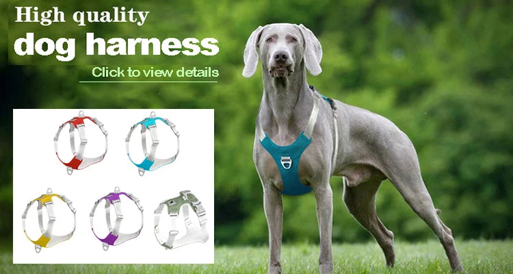UV Protection Windproof Dog Goggles & Sunglasses