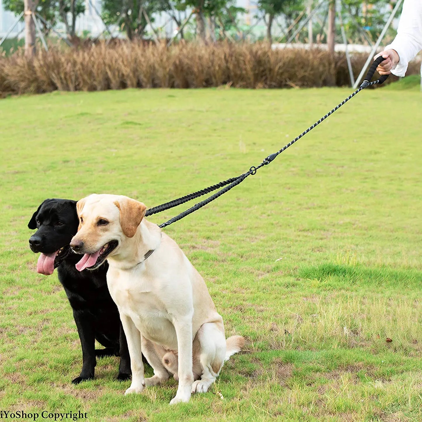 Dual Dog Coupler Leash – Walk 2 Dogs at Once