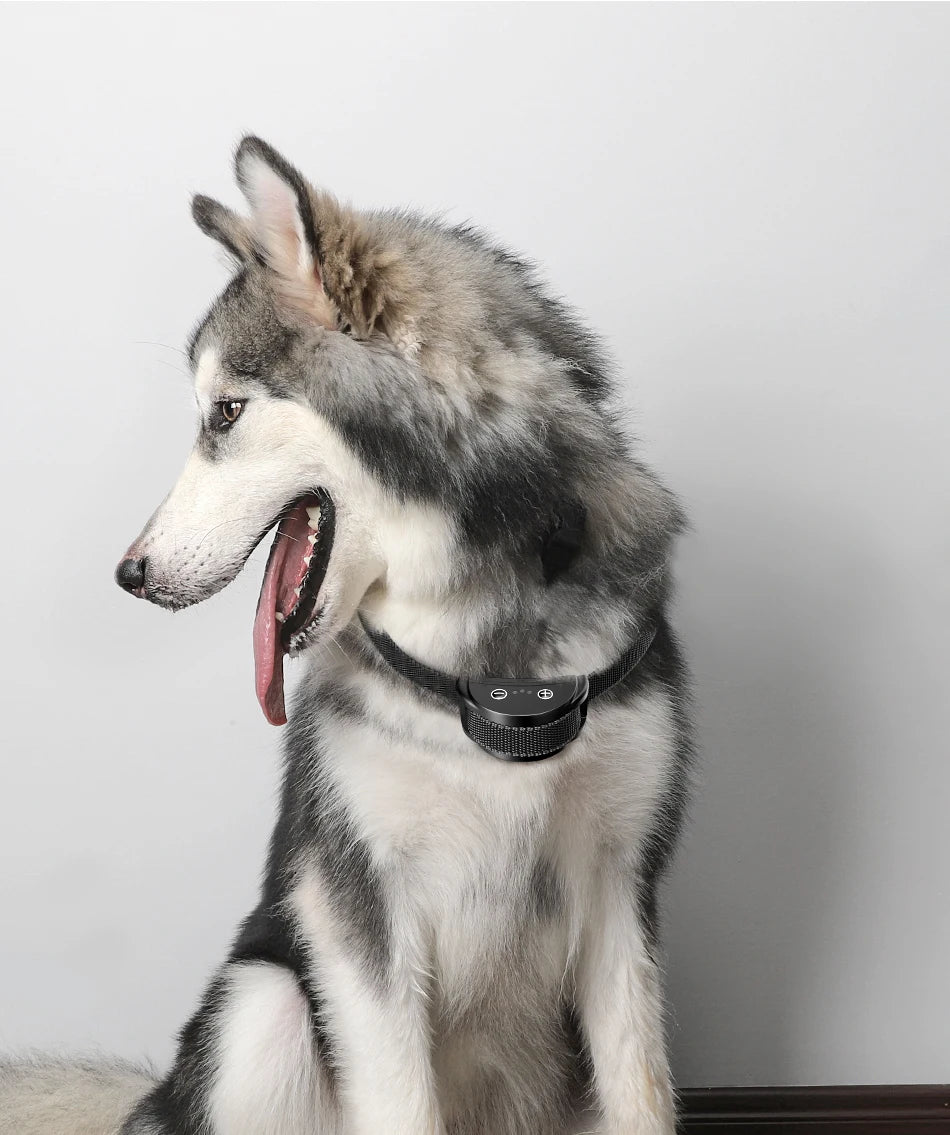 Rechargeable Dog Training Collar — Waterproof Anti-Bark Device with Smart Control