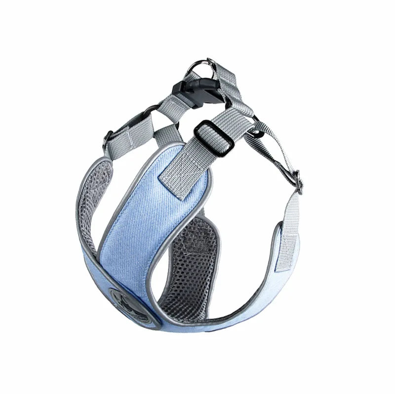 Reflective Mesh Dog Harness & Leash Set for Small & Medium Dogs