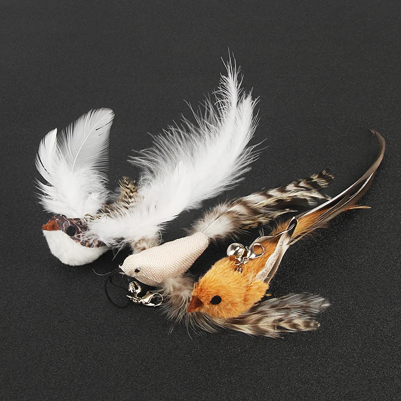 Feather Bird Cat Teaser Toy Set (2 Pack)
