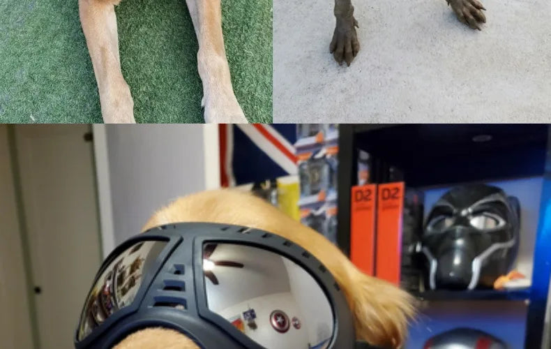UV Protection Windproof Dog Goggles & Sunglasses