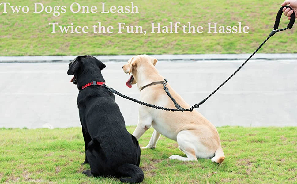 Dual Dog Coupler Leash – Walk 2 Dogs at Once