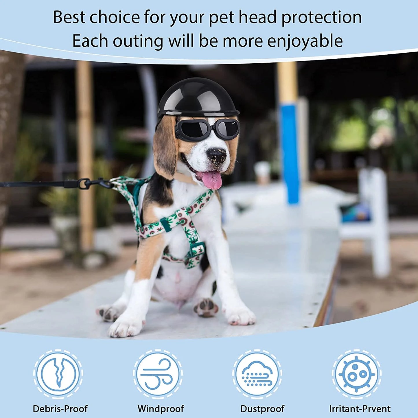 Dog Helmet & Goggles Set - UV Protection Sunglasses for Small Dogs