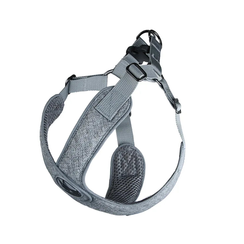 Reflective Mesh Dog Harness & Leash Set for Small & Medium Dogs