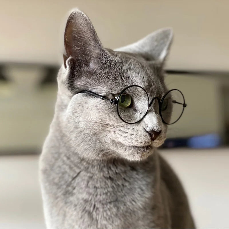 Vintage Round Pet Sunglasses for Cats & Small Dogs