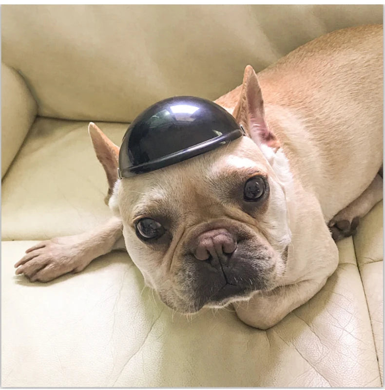 Motorcycle Helmet Hat for Dogs & Cats