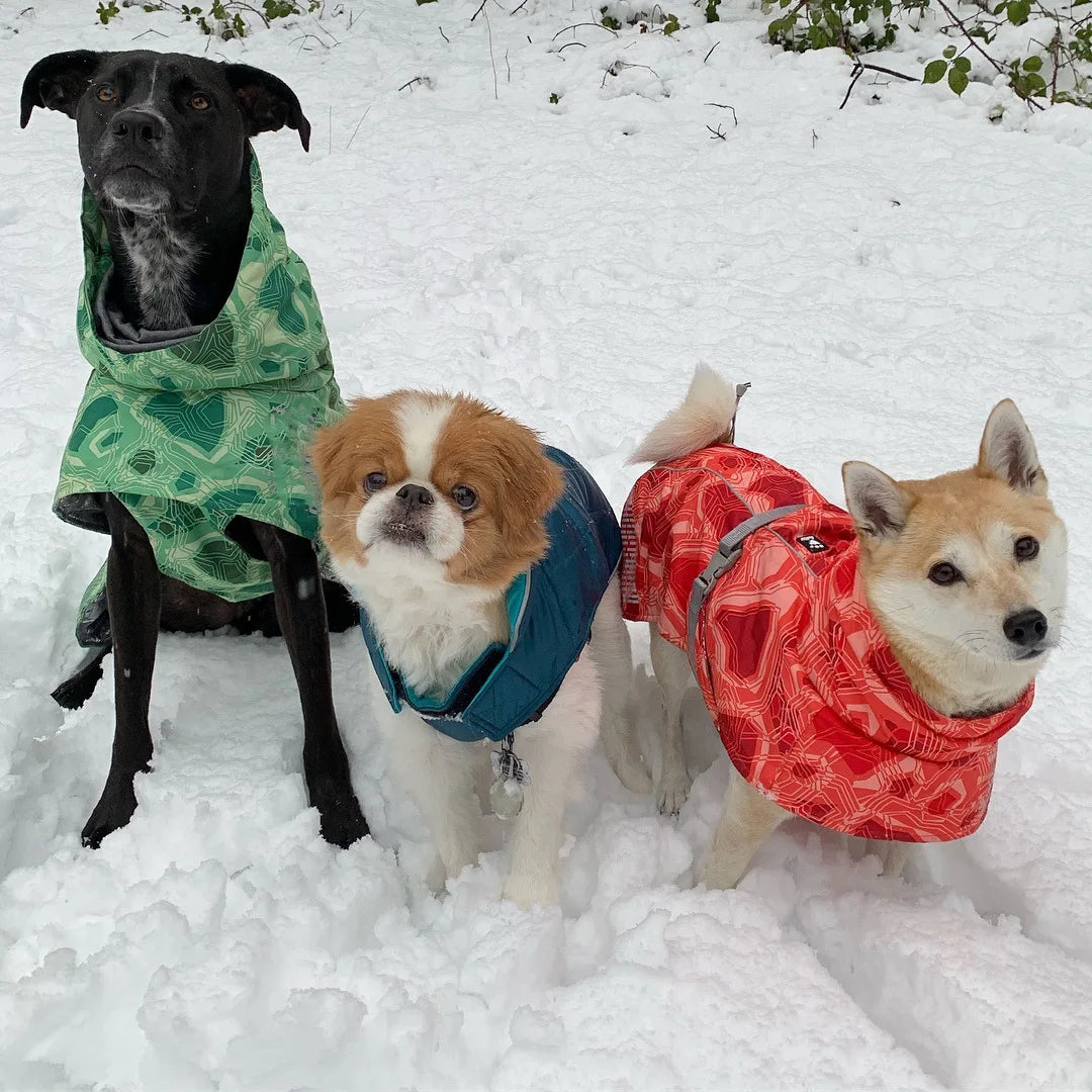 Waterproof Winter Dog Jacket – Warm Outfit for Small, Medium & Large Dogs