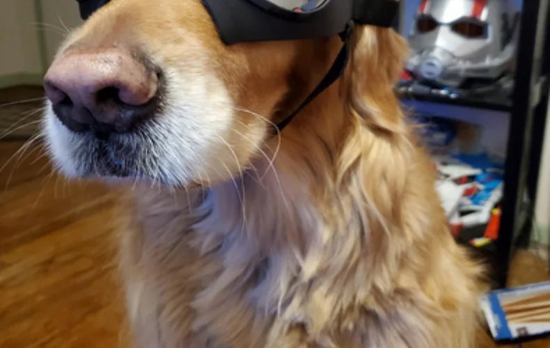 UV Protection Windproof Dog Goggles & Sunglasses