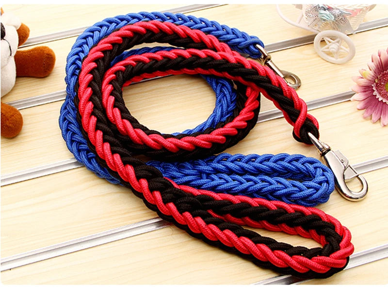 Heavy-Duty Nylon Dog Lead