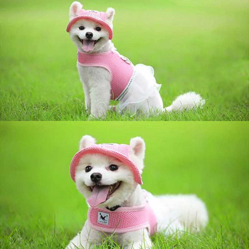 Breathable Sun Hat for Small Dogs & Cats | Mesh Canvas Cap
