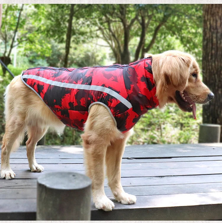 Waterproof Winter Dog Jacket & Warm Coat