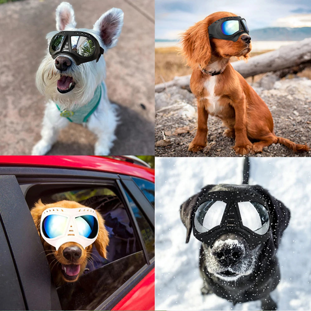 UV Protection Windproof Dog Goggles & Sunglasses