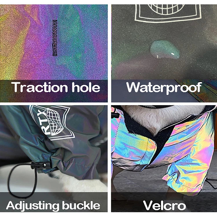Waterproof Reflective Dog Jacket – Colourful Fashion Coat for All Sizes