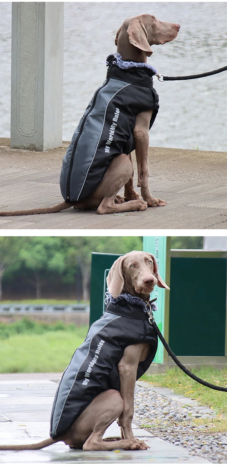 Waterproof Fleece Dog Jacket with Furry Collar & Reflective Trim