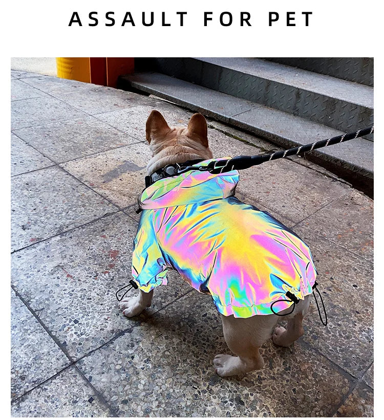 Waterproof Reflective Dog Jacket – Colourful Fashion Coat for All Sizes
