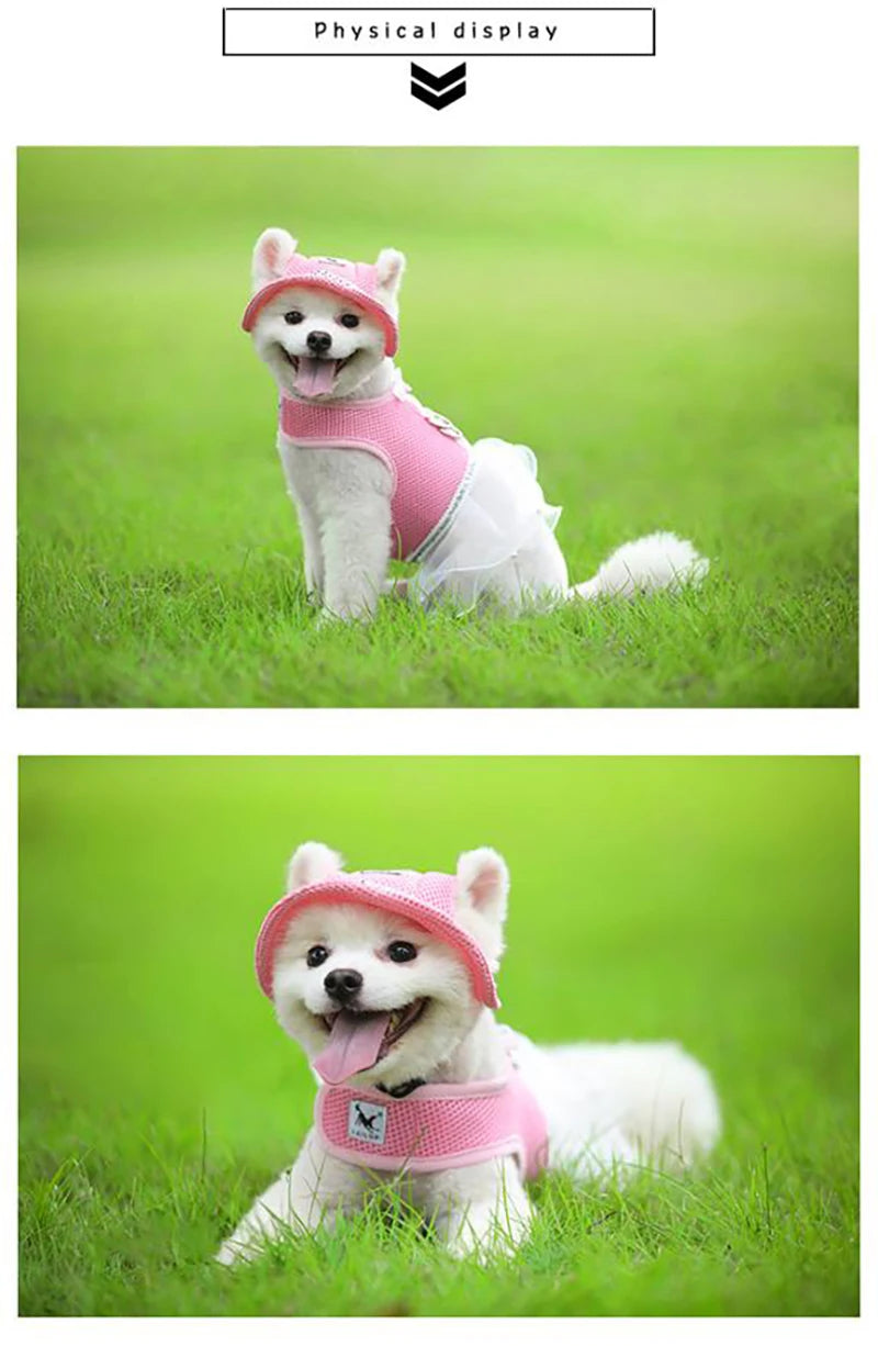 Breathable Sun Hat for Small Dogs & Cats | Mesh Canvas Cap