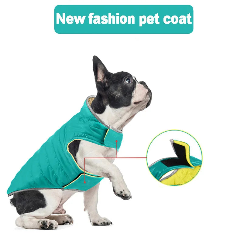 Reversible Waterproof Winter Down Jacket for Small & Medium Dogs