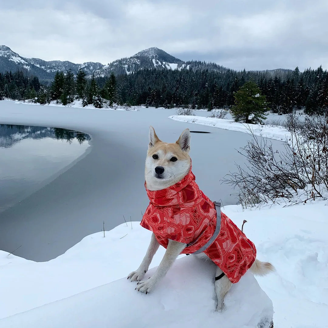 Waterproof Winter Dog Jacket – Warm Outfit for Small, Medium & Large Dogs