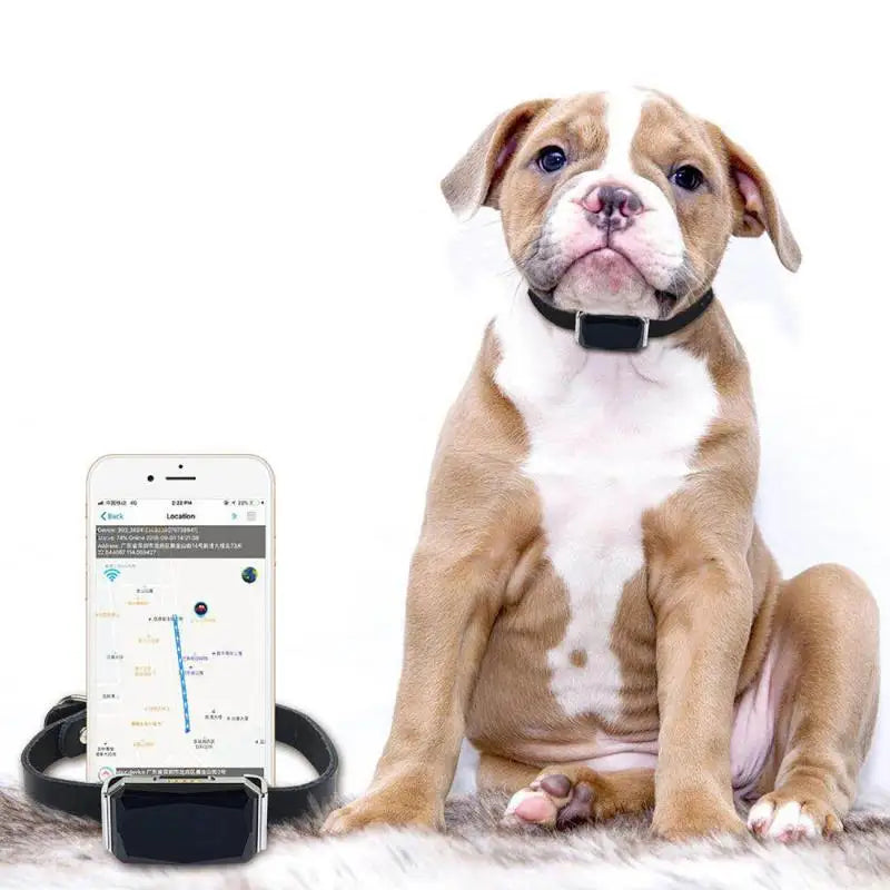 IP67 Multi-Mode GPS Tracker for Pets & Kids — Geofence, SOS & Two-Way Call