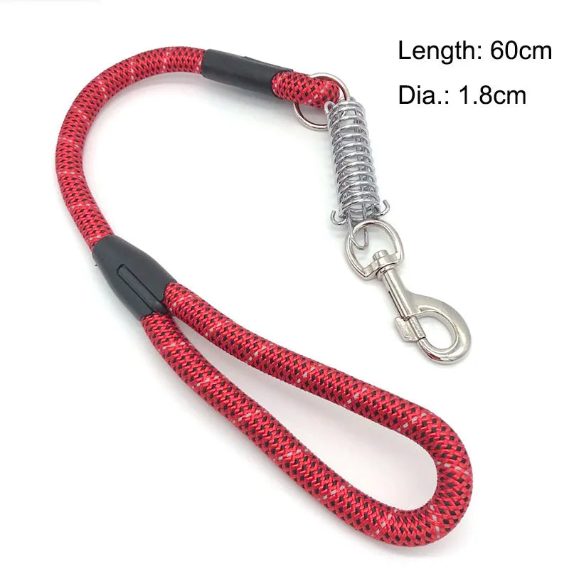 Laisse anti-traction réfléchissante avec amortisseur (60 cm)