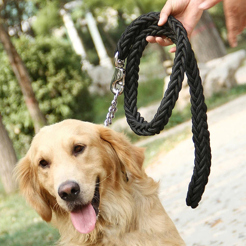 Heavy-Duty Nylon Dog Lead