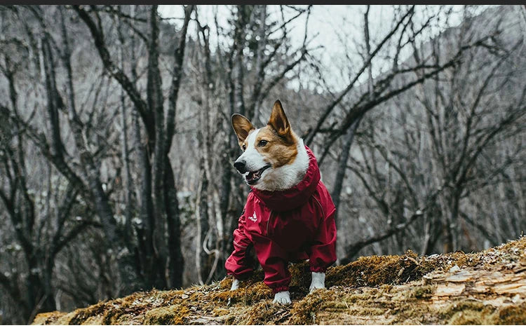 Waterproof Warm Reflective Dog Jumpsuit Coat