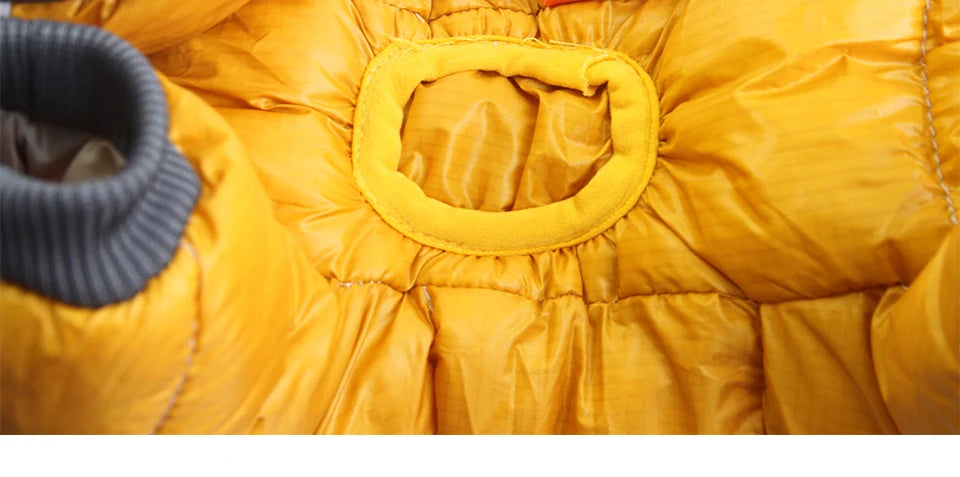 Reflective Waterproof Dog Winter Jacket - Warm Padded Coat for Small Dogs