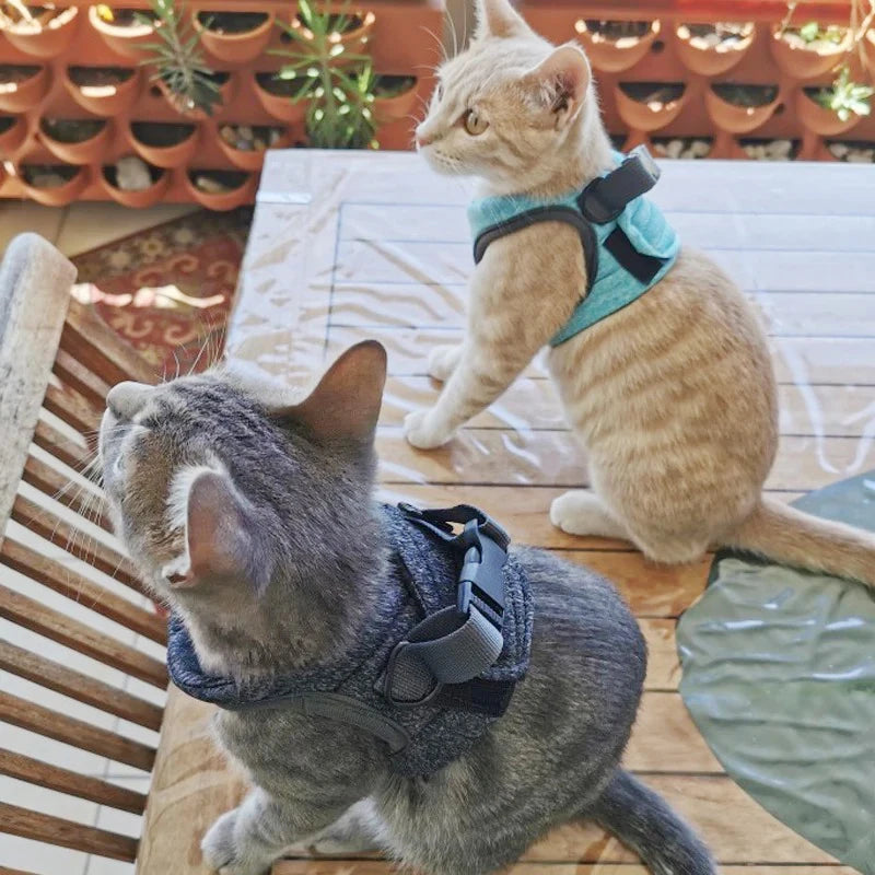 Anti-Escape Kitten Harness & Leash Set