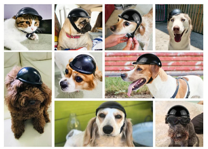 Motorcycle Helmet Hat for Dogs & Cats