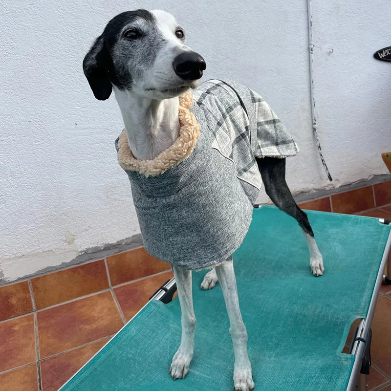 Plaid Fleece Winter Jacket for Medium & Large Dogs