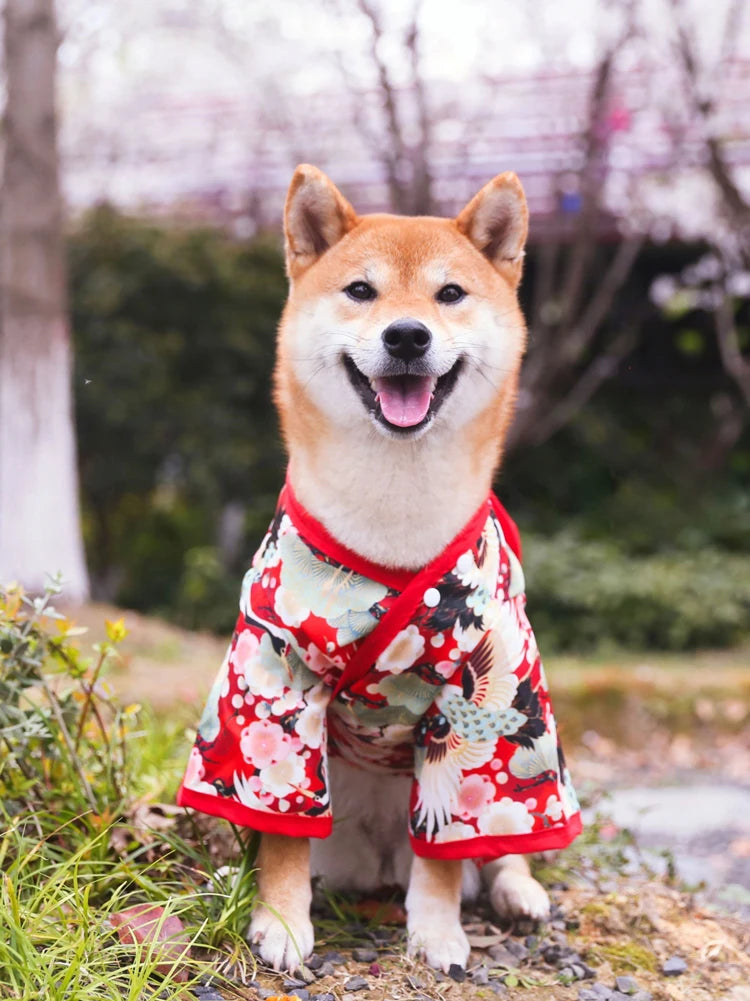 Japanese Kimono Pet Jacket with Crane & Cherry Blossom Pattern for Dogs & Cats